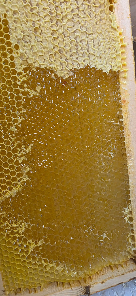 Honey with Fresh Uncapped Wax